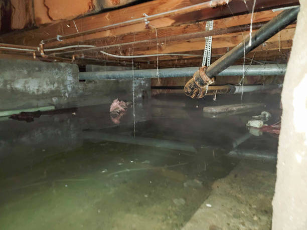 Best Flood damage cleanup  in Sultan, WA