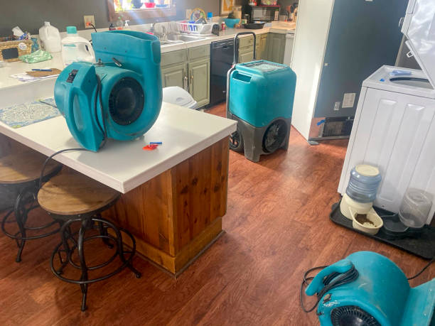 Best Water damage restoration insurance claims  in Sultan, WA
