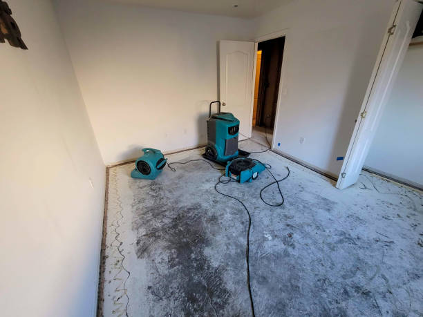 Best Carpet water damage restoration  in Sultan, WA