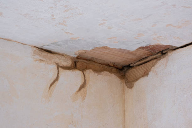 Best Water damage cleanup near me  in Sultan, WA