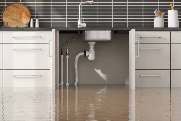 Best Water damage restoration specialists  in Sultan, WA