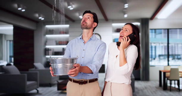Best Local water damage restoration  in Sultan, WA